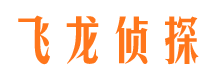 彭水侦探公司